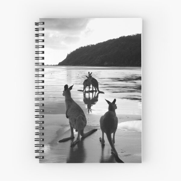 Item preview, Kangaroos at Sunrise designed and sold by Victoria Ashman.