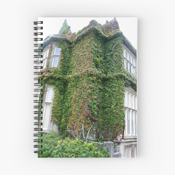 Item preview, Ivy's House designed and sold by Larry149.
