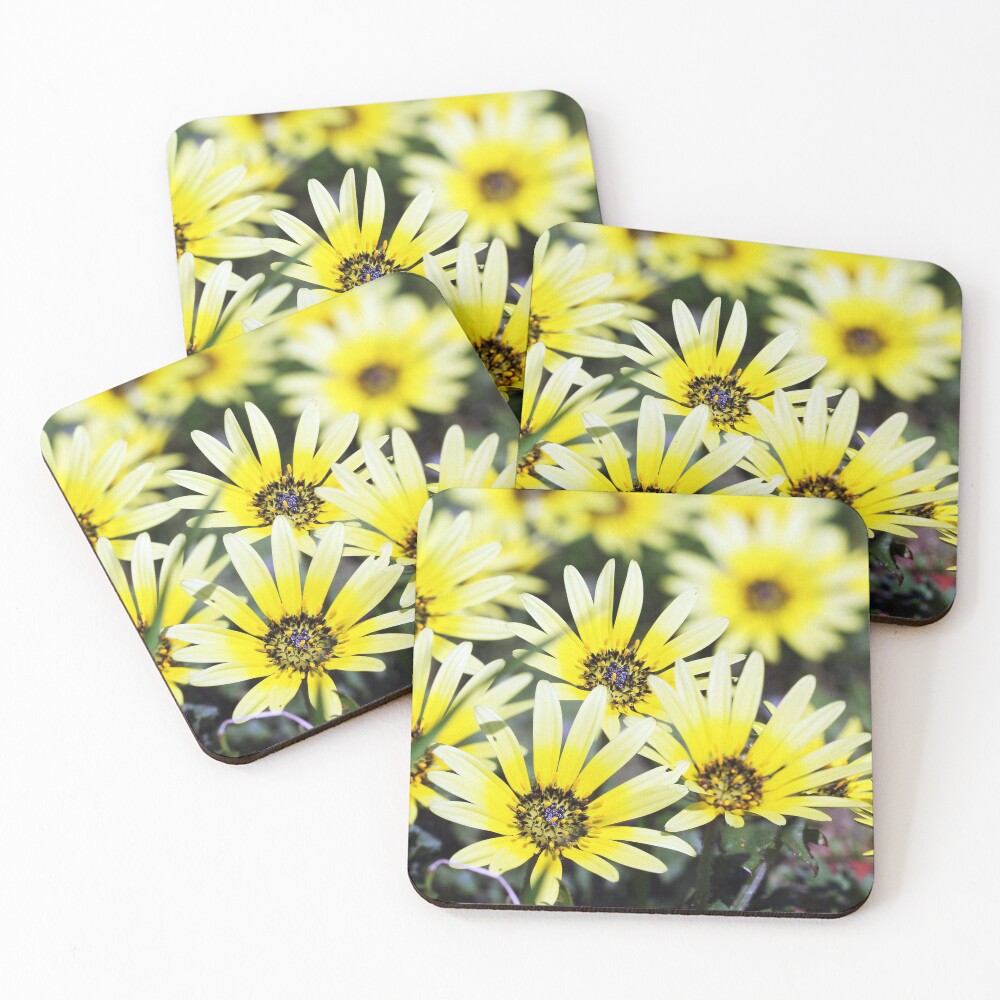 Item preview, Coasters (Set of 4) designed and sold by sienebrowne.