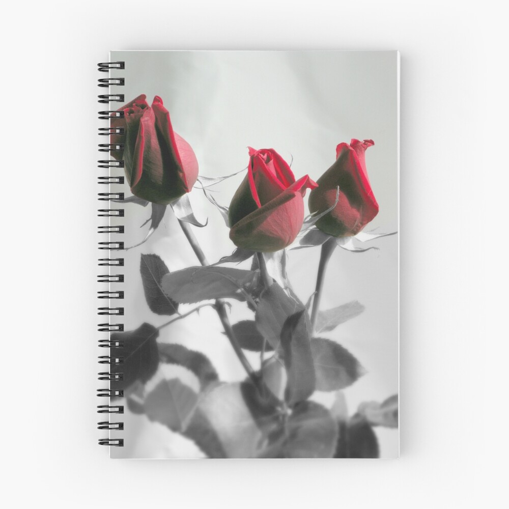 Item preview, Spiral Notebook designed and sold by Luis444.
