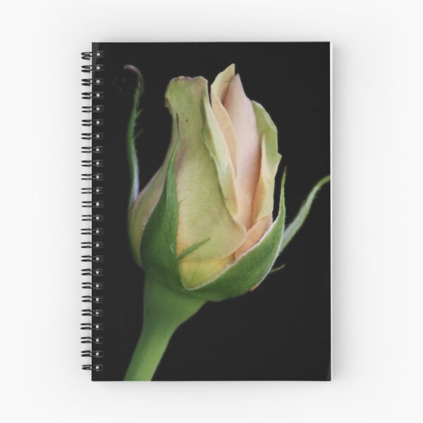 Item preview, bud designed and sold by picketty.