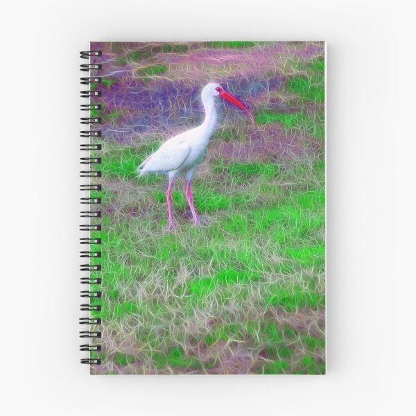 Item preview, South Carolina White Ibis designed and sold by Wendy Mogul.