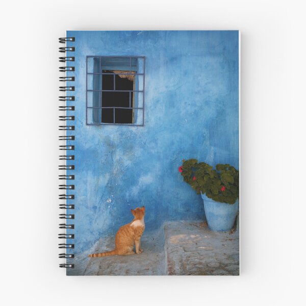Artikelvorschau, Kasbah Cat Rabat entworfen und verkauft von Scott Harding.