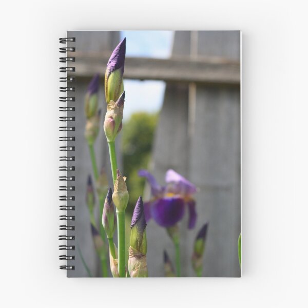 Item preview, Purple Flower designed and sold by Astral.