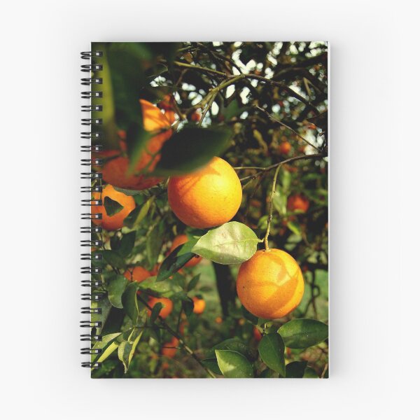 Item preview, Florida Oranges designed and sold by Eric Dush.