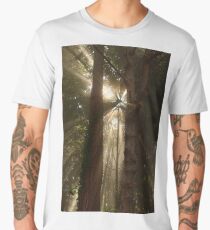 Beautiful Fog Men's Premium T-Shirt