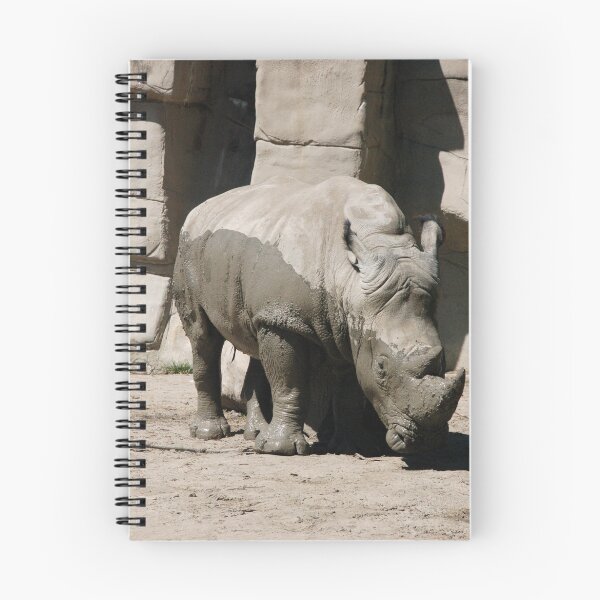 Item preview, Rhino at the Detroit Zoo designed and sold by Eric Dush.
