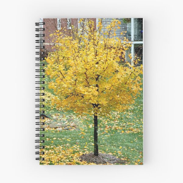 Item preview, Fall snow designed and sold by Eric Dush.