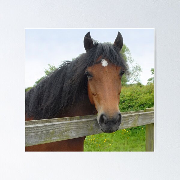 Item preview, Portrait of a Pony designed and sold by sarahnewton.