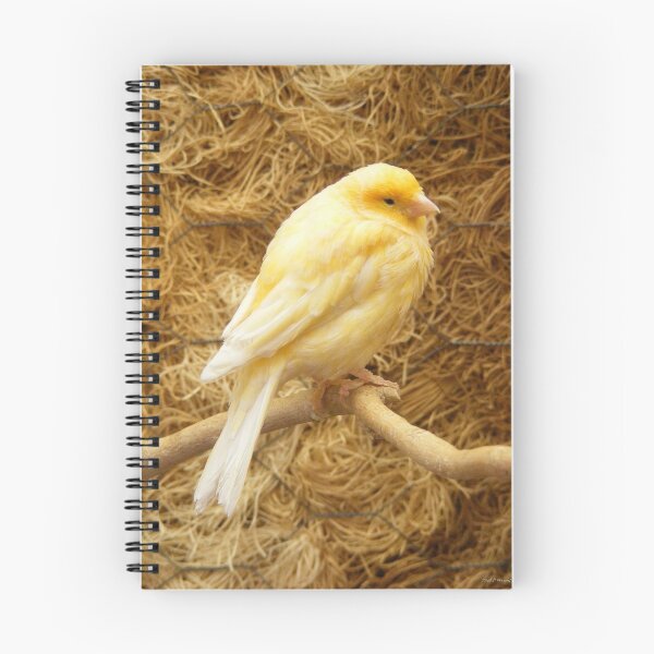 Artikelvorschau, Life in the Aviary entworfen und verkauft von PDWright.