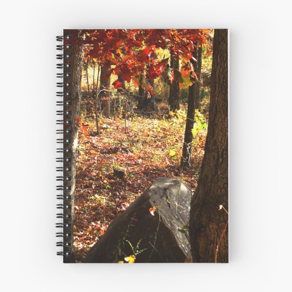 Item preview, A Quiet Place designed and sold by Bradley Sumner.