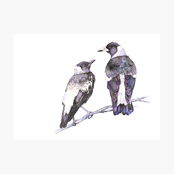 Any Tidbits Mum? Photographic Print