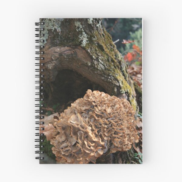 Aperçu de l'œuvre Flutes of fungus créée et vendue par artsMark.