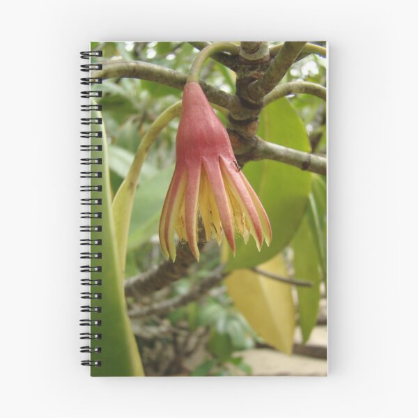 Item preview, mangrove flower designed and sold by PeaceM.