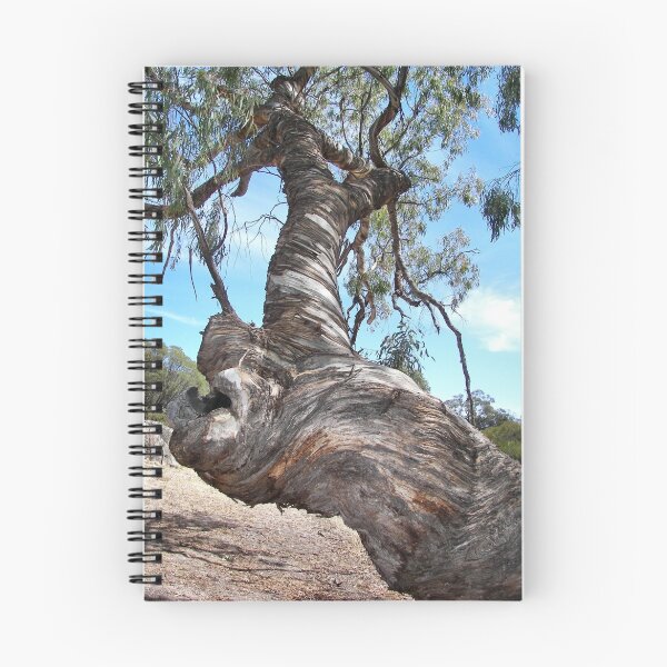 Item preview, Twisted Tree - Melville Caves Victoria designed and sold by daverach1.