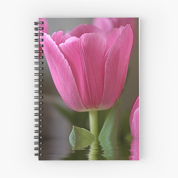 Item preview, Restful designed and sold by Steve plowman.