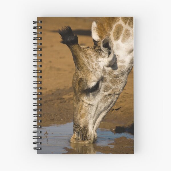 Item preview, Drinking Giraffe designed and sold by Gerry Van der Walt.