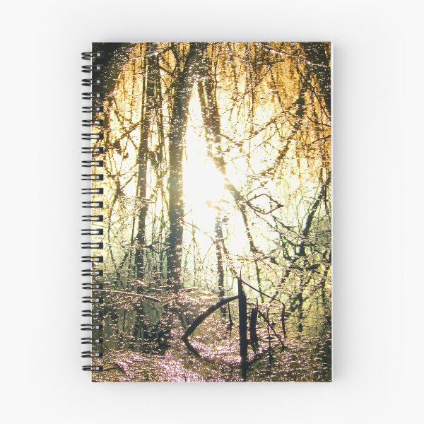 Item preview, Reflections in the swamp... designed and sold by Nuh Sarche.