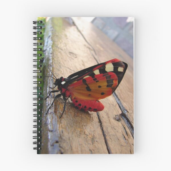 Item preview, Scarlet-Tiger Moth designed and sold by Alison Finch.