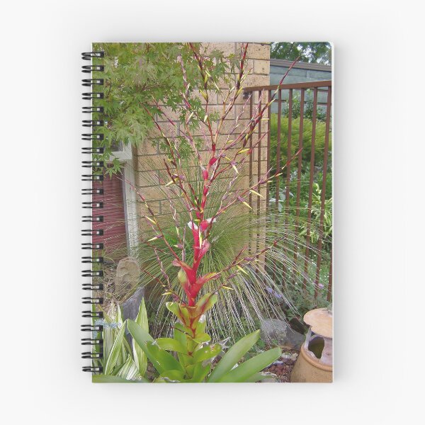 Item preview, Bromiliad designed and sold by Vic Cross.