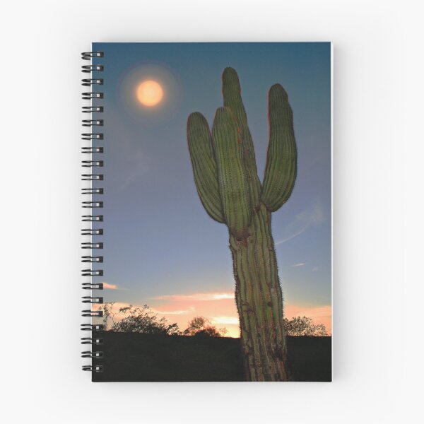 Item preview, Desert Moon designed and sold by Jean Hildebrant.