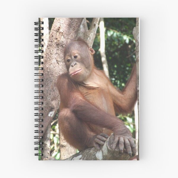 Aperçu de l'œuvre orangutan créée et vendue par gail.