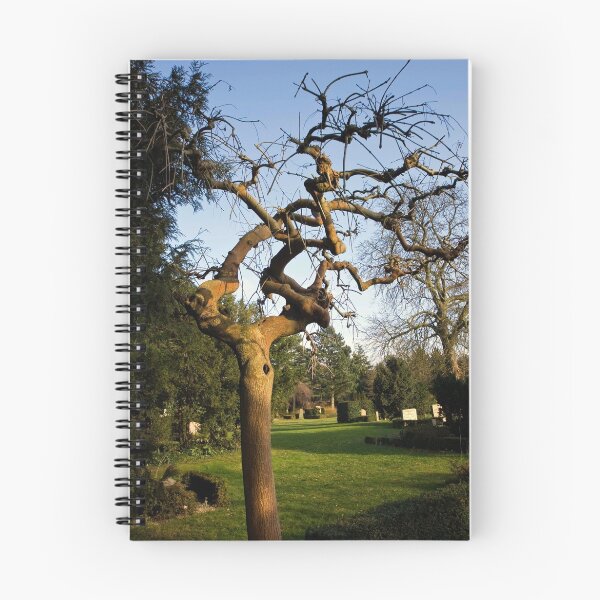 Item preview, The crooked tree designed and sold by Robert Drobek.