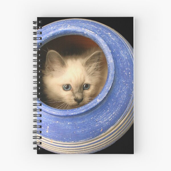 Item preview, Cat in Vase II designed and sold by Gareth Chalklen.