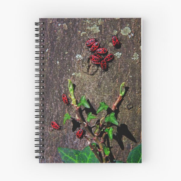 Item preview, Bugs Life designed and sold by Jerry Alcantara.