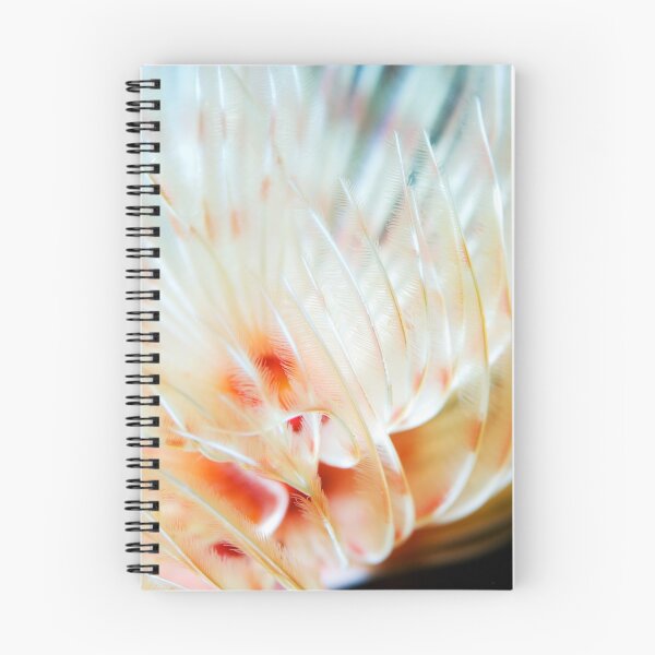 Item preview, Feather soft designed and sold by Stephen Colquitt.