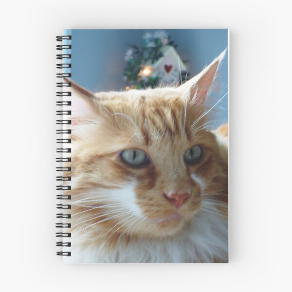 Item preview, Kitty catin around designed and sold by Lori Durocher.