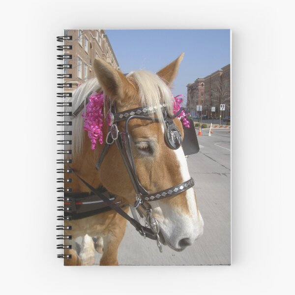 Artikelvorschau, HOW ABOUT HORSE POWER! entworfen und verkauft von DarrellMoseley.