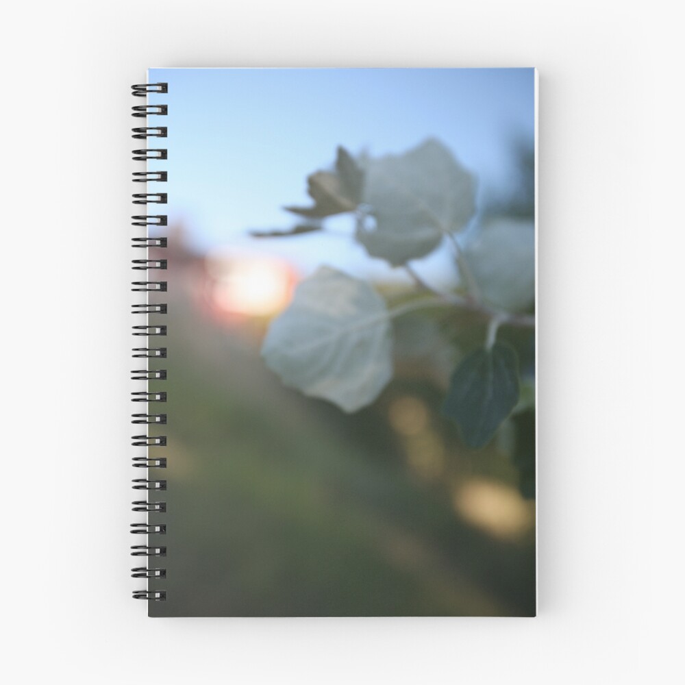 Item preview, Spiral Notebook designed and sold by Jessilynn.