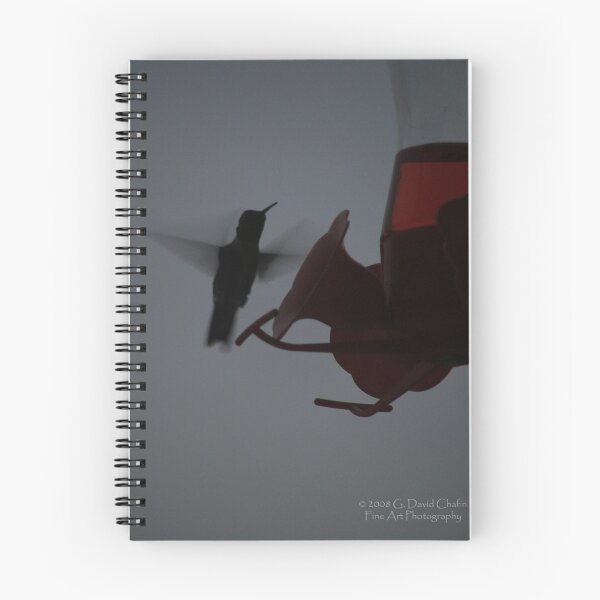 Aperçu de l'œuvre Ruby Throated Hummingbird Silhouette  créée et vendue par G. David Chafin Photography.