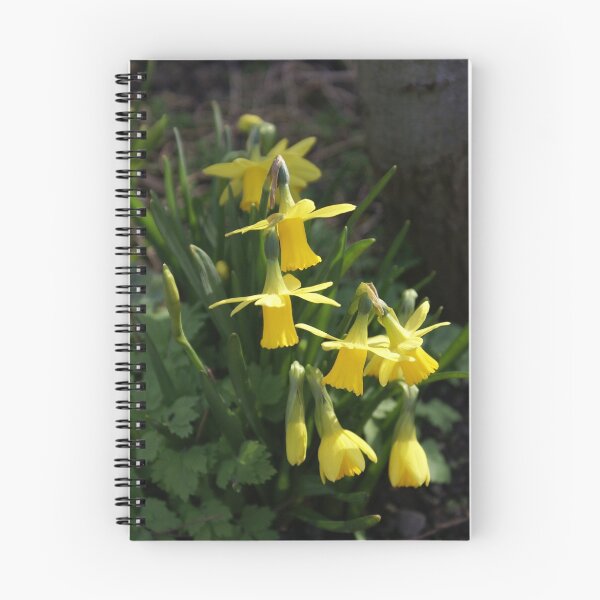 Item preview, Cluster of Daffodils designed and sold by shane22.
