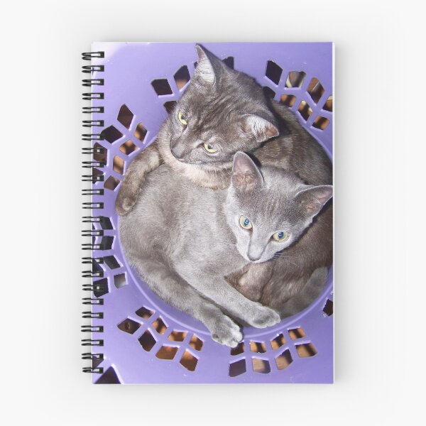 Item preview, We're Innocent ! designed and sold by Alison  Gainge.