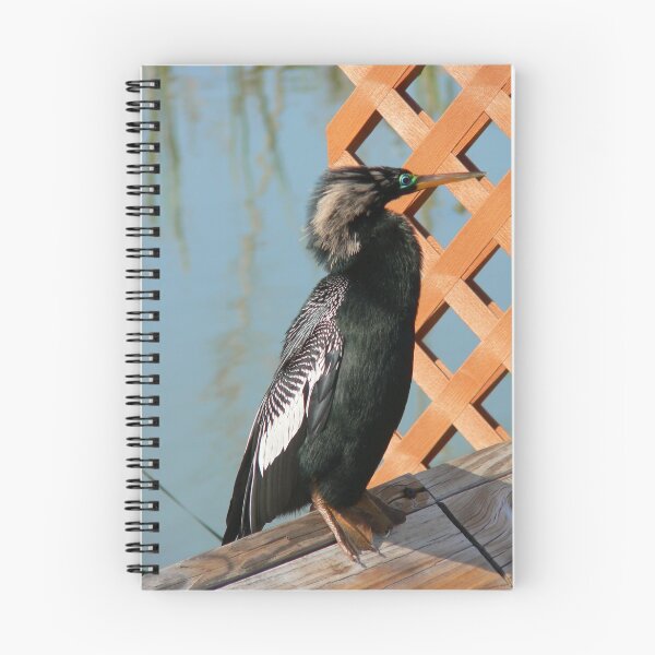 Item preview, Anhinga  designed and sold by Rosalie Scanlon.