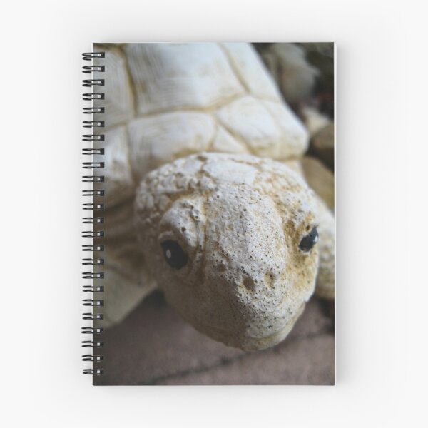 Item preview, turtle designed and sold by Emma Lenz.