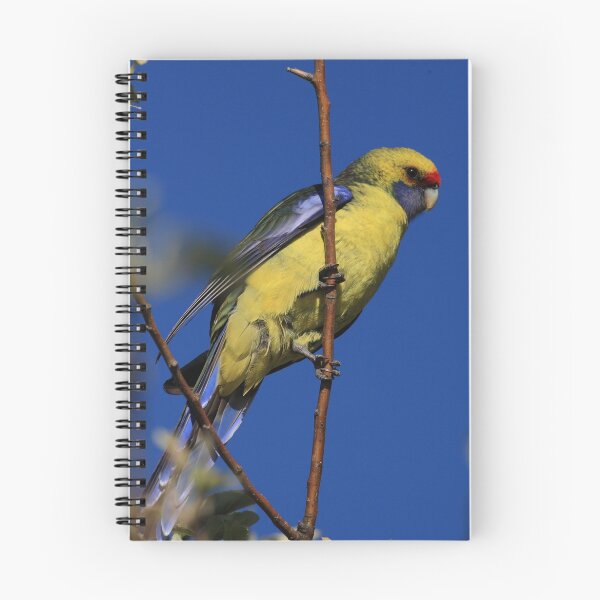Item preview, Green Rosella designed and sold by David Jamrozik.