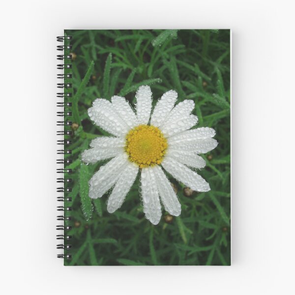 Item preview, Daisy Dew designed and sold by Adrianne Yzerman.