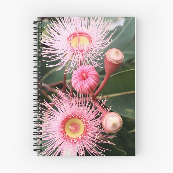 Item preview, flowering eucalypt designed and sold by picketty.