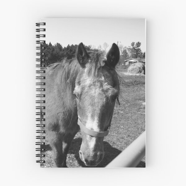 Item preview, It's a Horse of Course! designed and sold by lisasshutterbug.