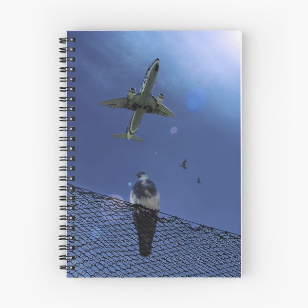 Aperçu de l'œuvre Birds créée et vendue par Beatrix Kalman.