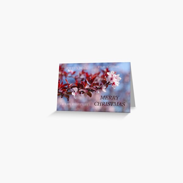 Prunus Christmas card Greeting Card
