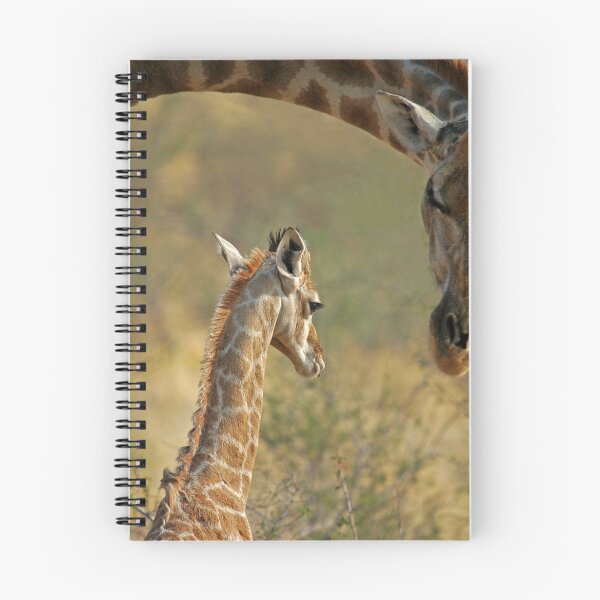 Artikelvorschau, Young Giraffe entworfen und verkauft von Peter Bland.