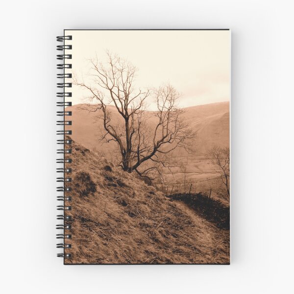 Item preview, Branches designed and sold by Carl Banks.