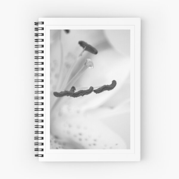 Artikelvorschau, Mono Lily II entworfen und verkauft von orchiddesign.