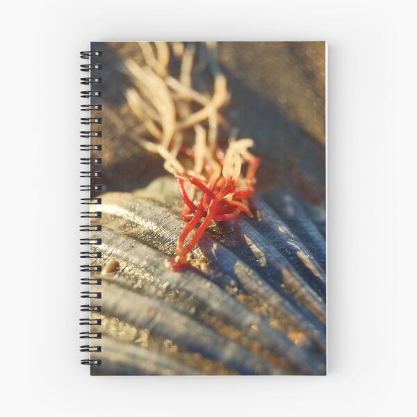 Item preview, Sticking With You designed and sold by Peter Horsman.
