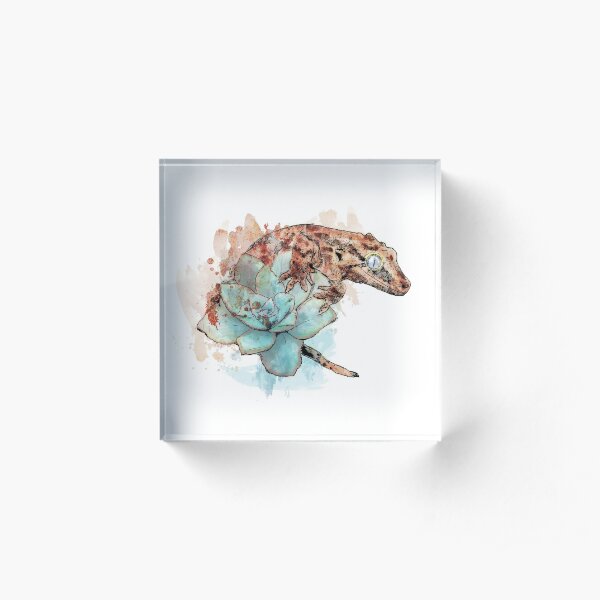 Gargoyle Gecko on Succulent Acrylic Block