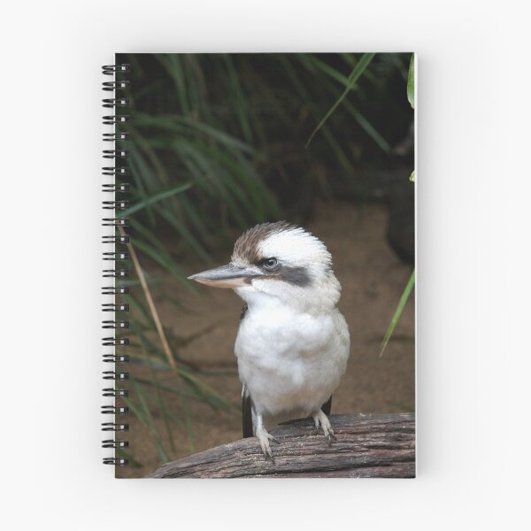 Item preview, Laughing Kookaburra designed and sold by Douglas Stetner.